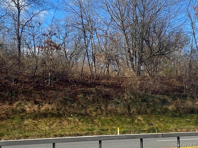 Land Us Highway 9w  Ulster, NY 12528, MLS-H6279528-6