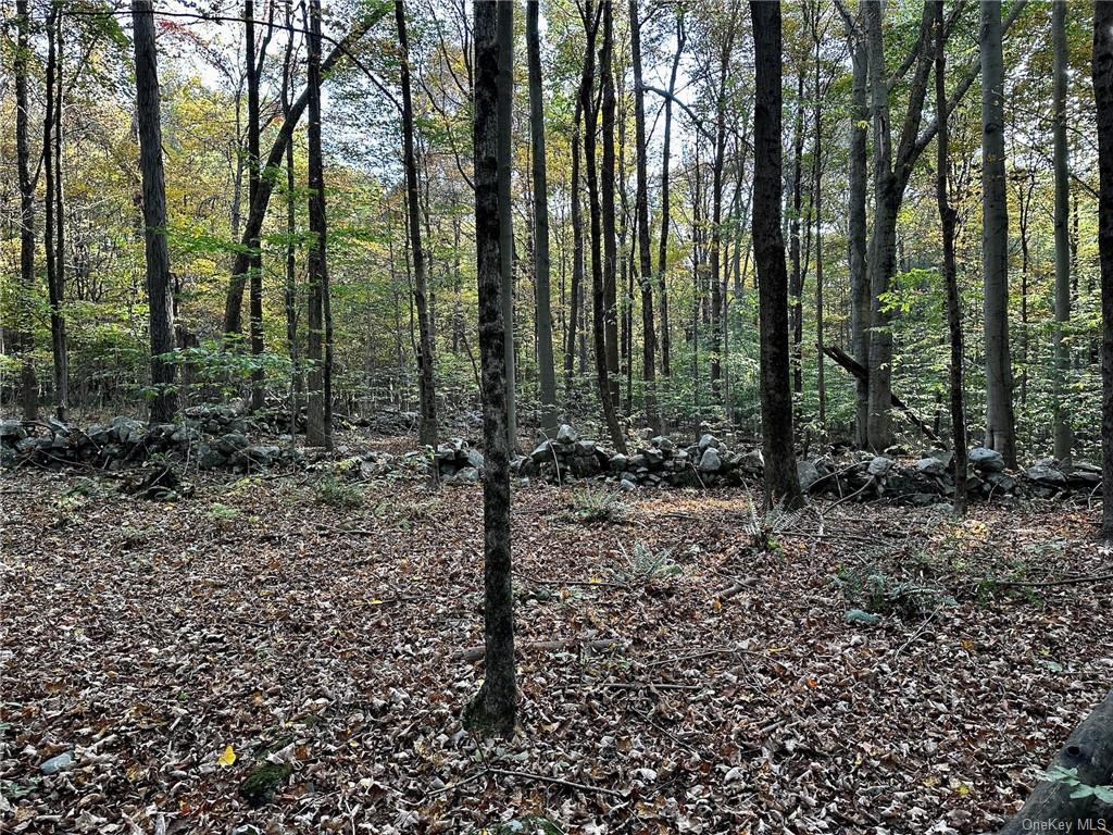 Land Meadow  Ulster, NY 12561, MLS-H6272542-6