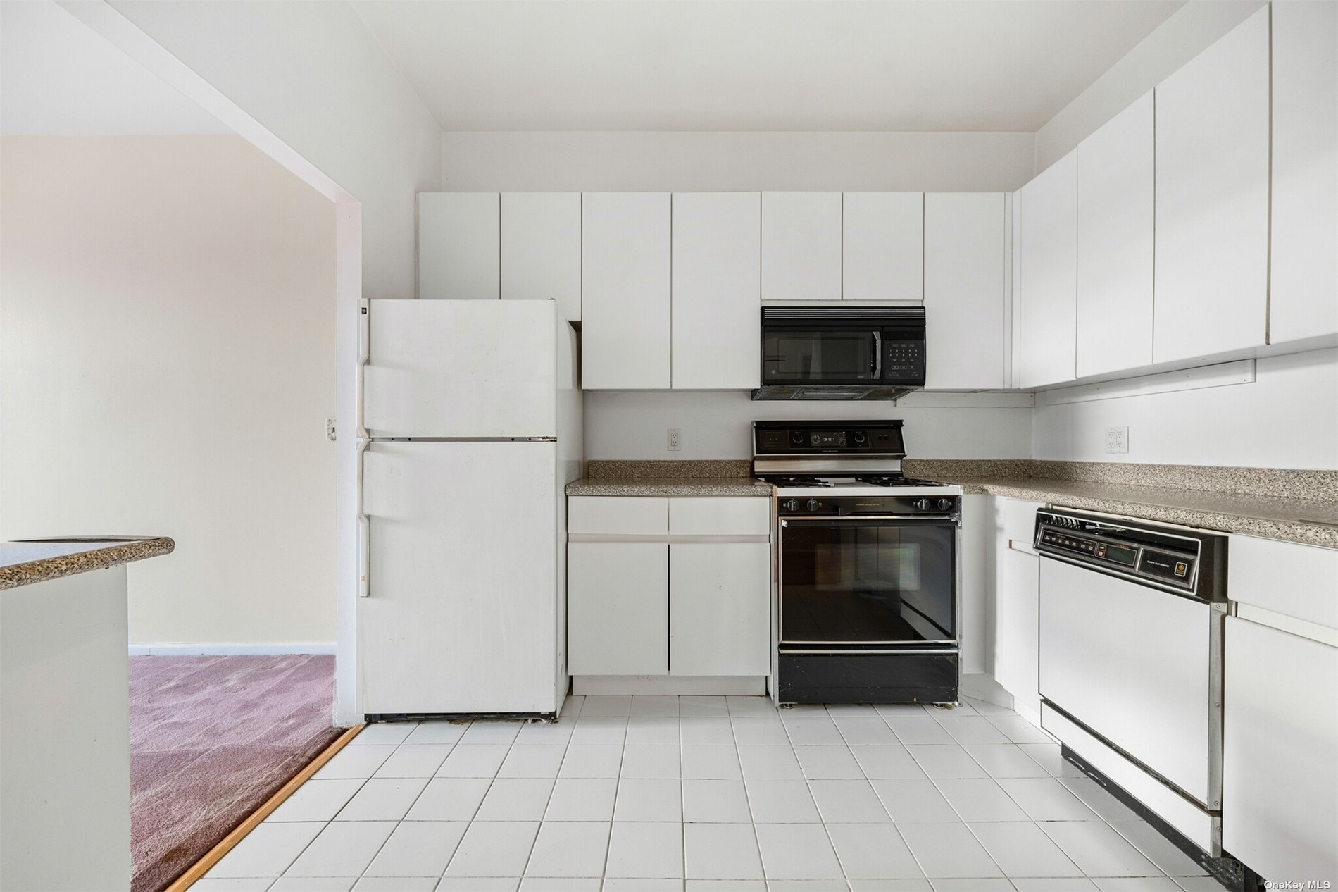 Condo Louisiana  Brooklyn, NY 11239, MLS-3519557-6