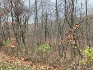 Land Forest  Dutchess, NY 12538, MLS-H6235568-6