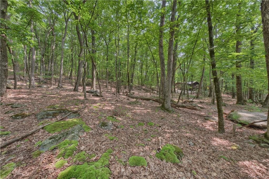 Land Canal  Sullivan, NY 12790, MLS-H6266600-6