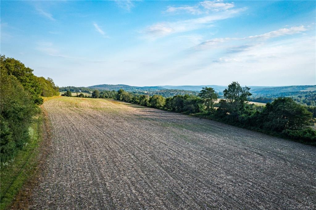 Land Homestead Farm  Dutchess, NY 12546, MLS-H6212604-6