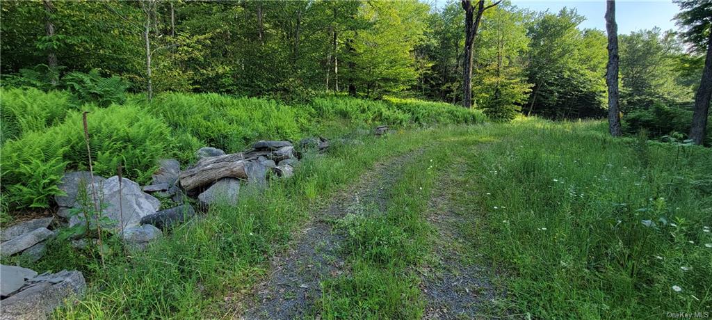 Land Woodard  Sullivan, NY 12768, MLS-H6258638-6