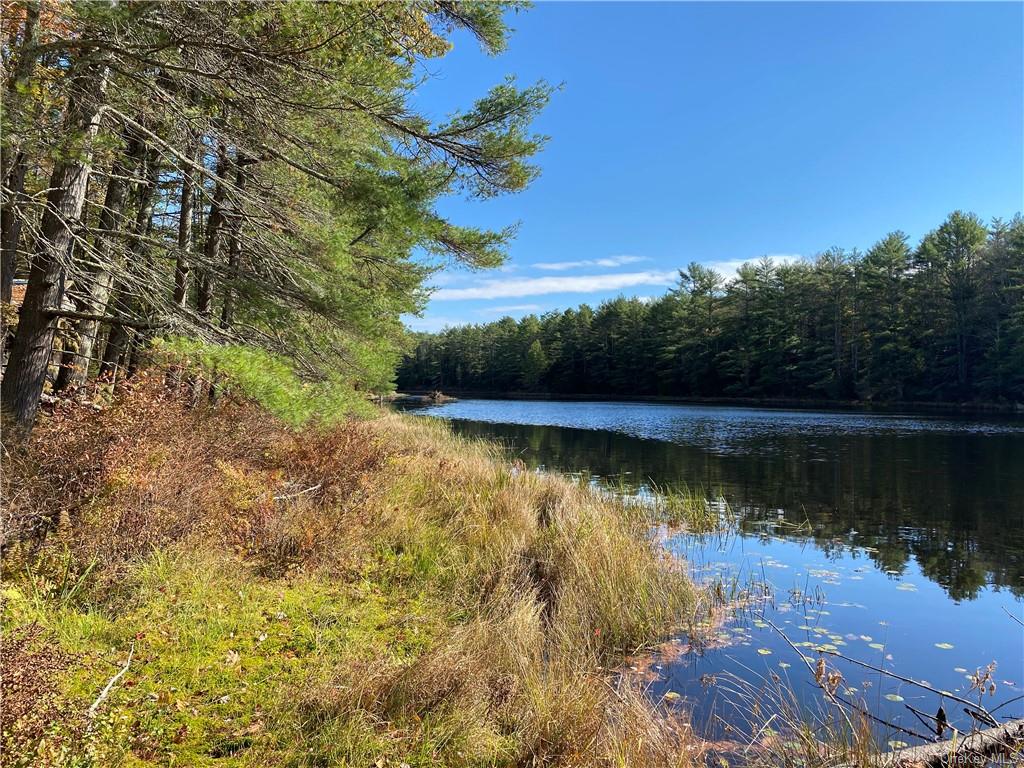 Land Stag Forest  Sullivan, NY 12777, MLS-H6268672-6