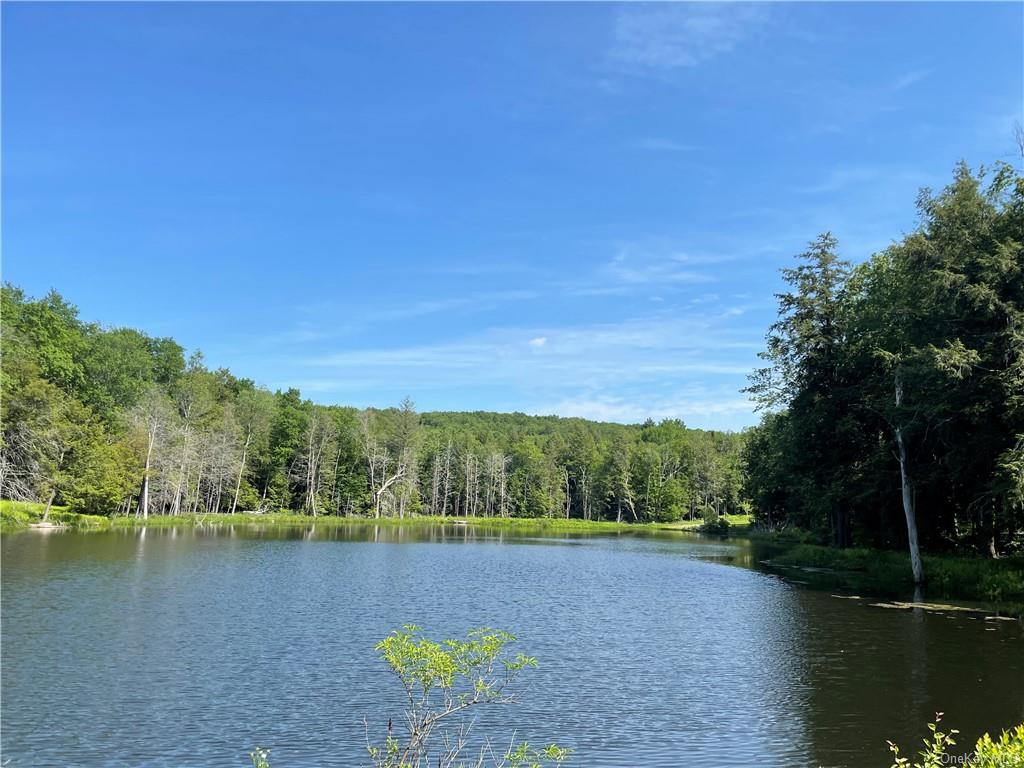 Land Eagles Ridge  Sullivan, NY 12768, MLS-H6123686-6