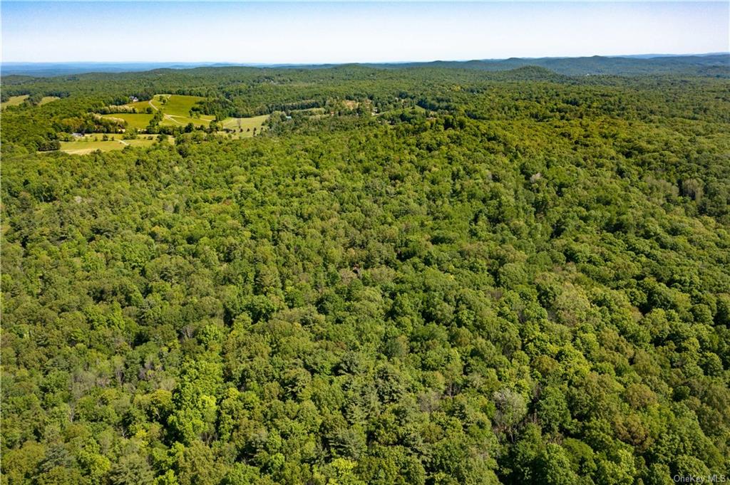 Land Academy Hill  Dutchess, NY 12571, MLS-H6251686-6