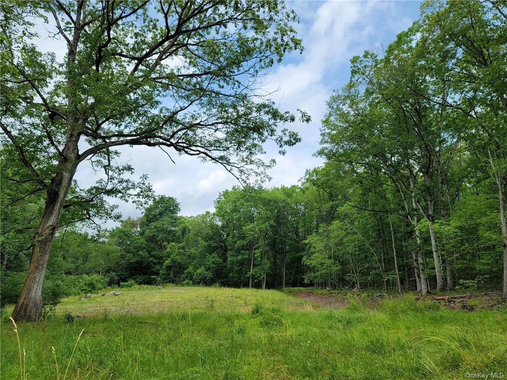 Land Route 97  Sullivan, NY 12764, MLS-H6257688-6