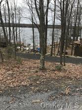 Land Canal  Sullivan, NY 12790, MLS-H6241689-6