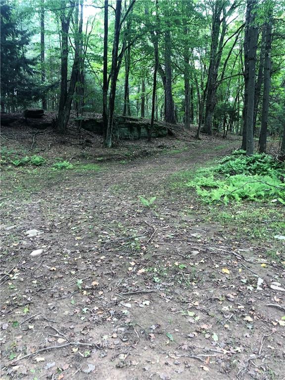 Land Old Tacy  Sullivan, NY 12720, MLS-H6261690-6