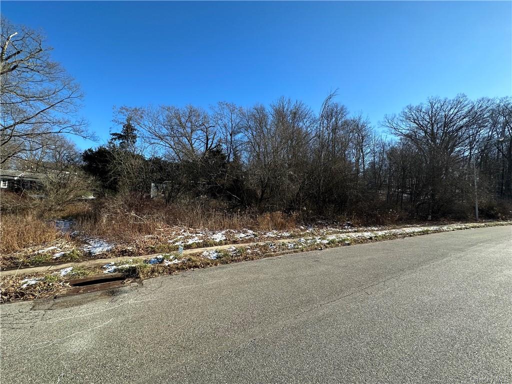 Land Front  Westchester, NY 10598, MLS-H6276695-6