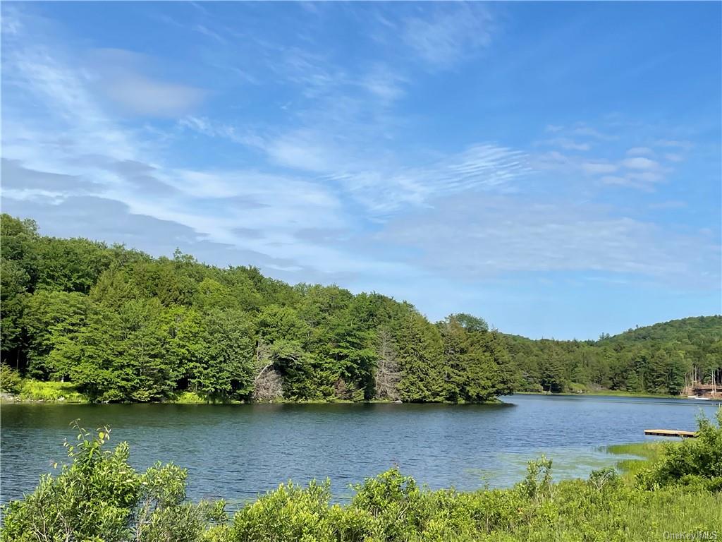 Land Tanzman  Sullivan, NY 12768, MLS-H6123698-6