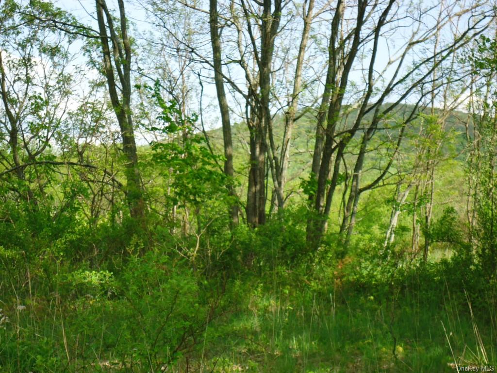 Land Crescent/pancake Hollow  Ulster, NY 12528, MLS-H6259698-6