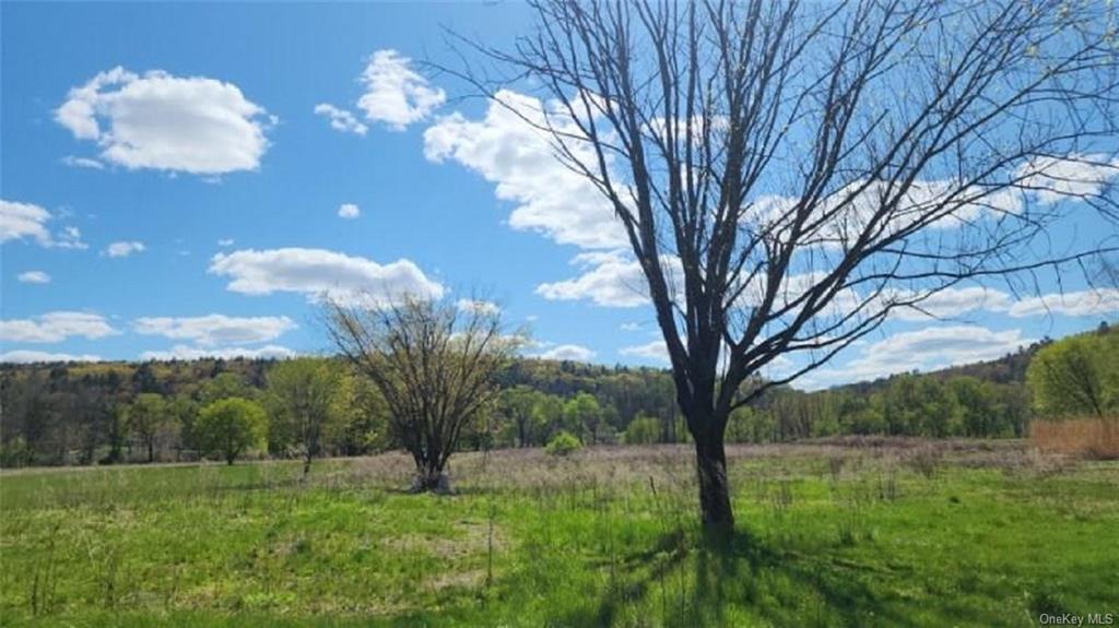 Land Cochecton  Sullivan, NY 12726, MLS-H6177700-6