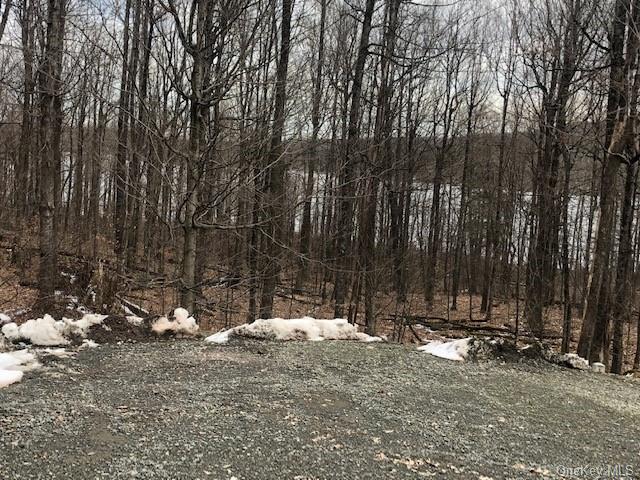 Land Rock Run  Out Of Area, NY 18417, MLS-H6235701-6