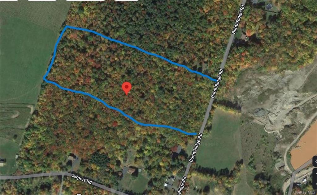 Land Burnt Ridge Road Tr 64  Sullivan, NY 12733, MLS-H6222706-6