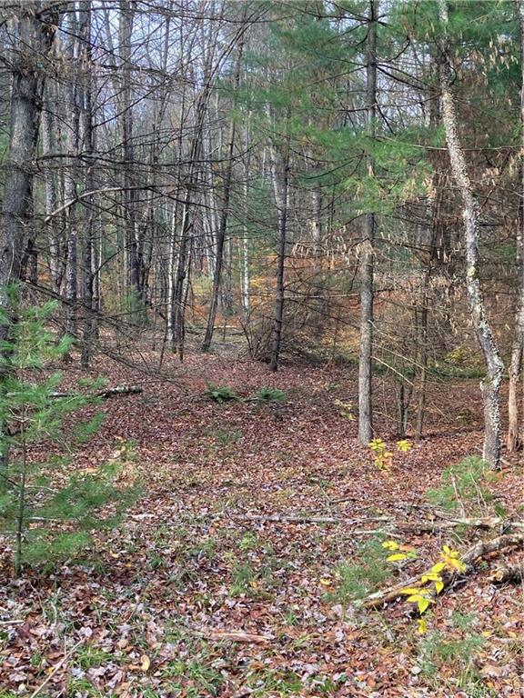 Land Plank  Sullivan, NY 12762, MLS-H6274706-6