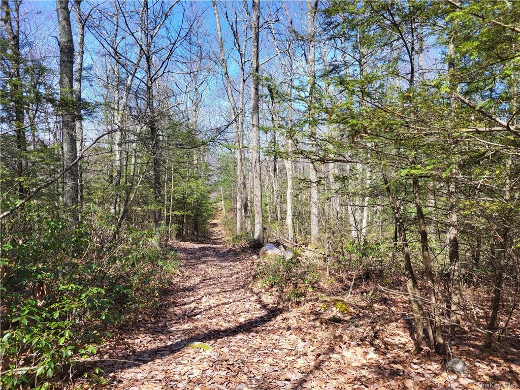 Land Old Plank  Ulster, NY 12420, MLS-H6180707-6