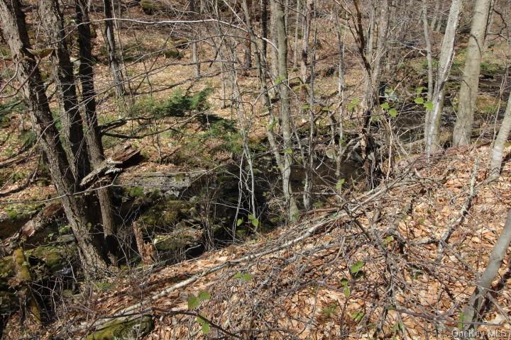 Land Cattail  Sullivan, NY 12758, MLS-H6244708-6