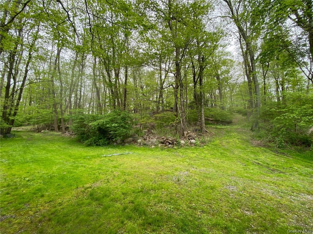 Land Spring Valley  Westchester, NY 10562, MLS-H6249717-6