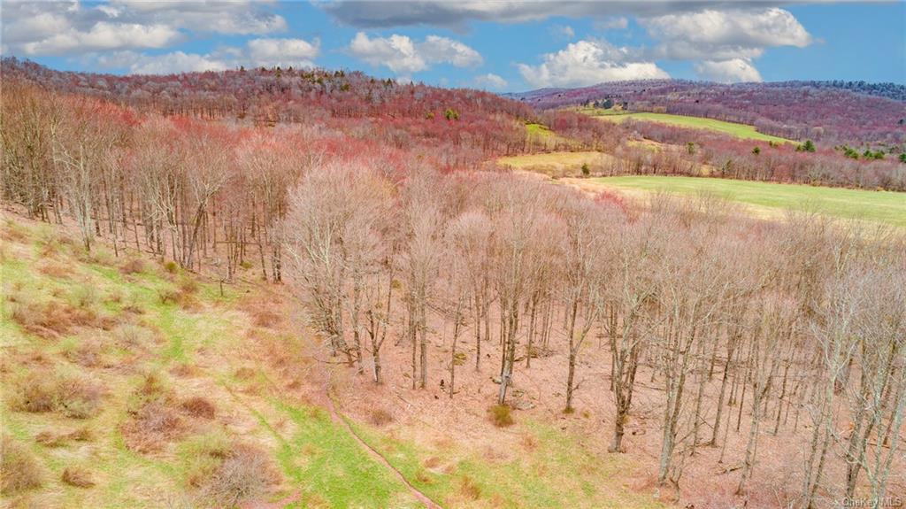 Land Peters  Sullivan, NY 12736, MLS-H6256722-6