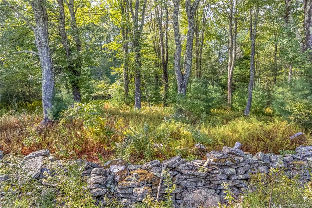 Land Brown  Ulster, NY 12489, MLS-H6211737-6