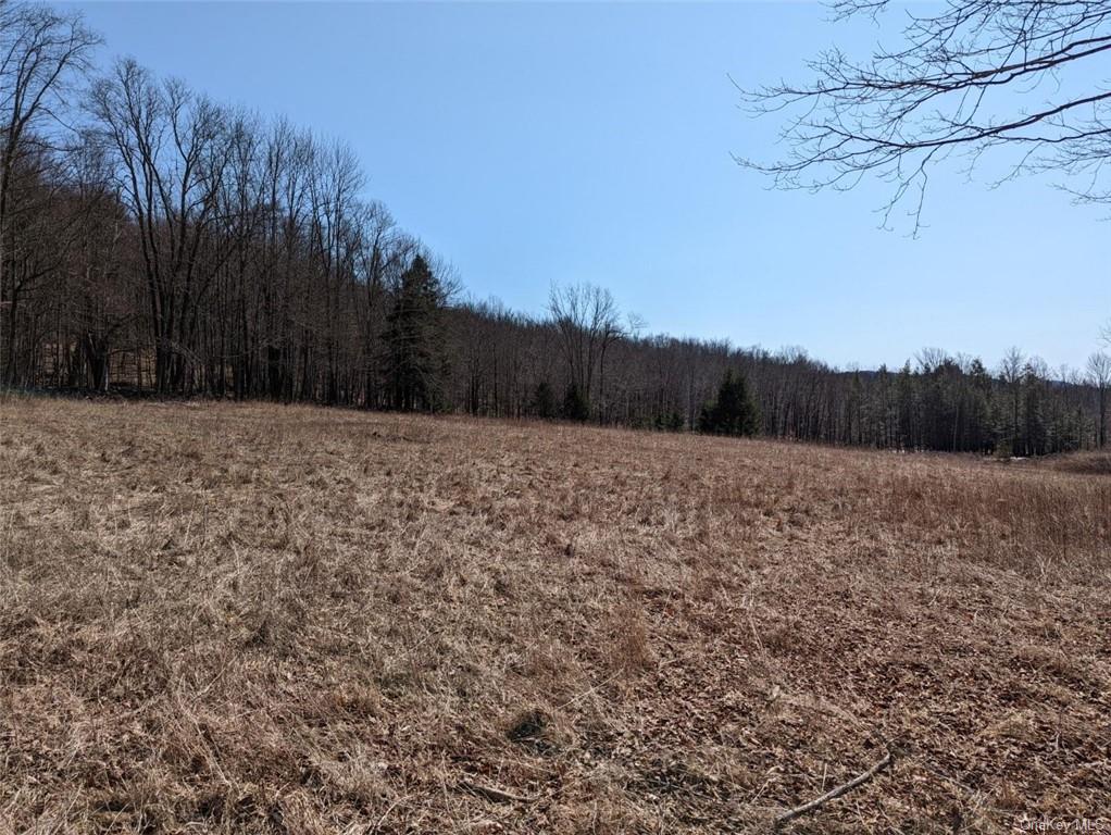 Land 0 Buck Brook Rd Tr10  Sullivan, NY 12736, MLS-H6172755-6