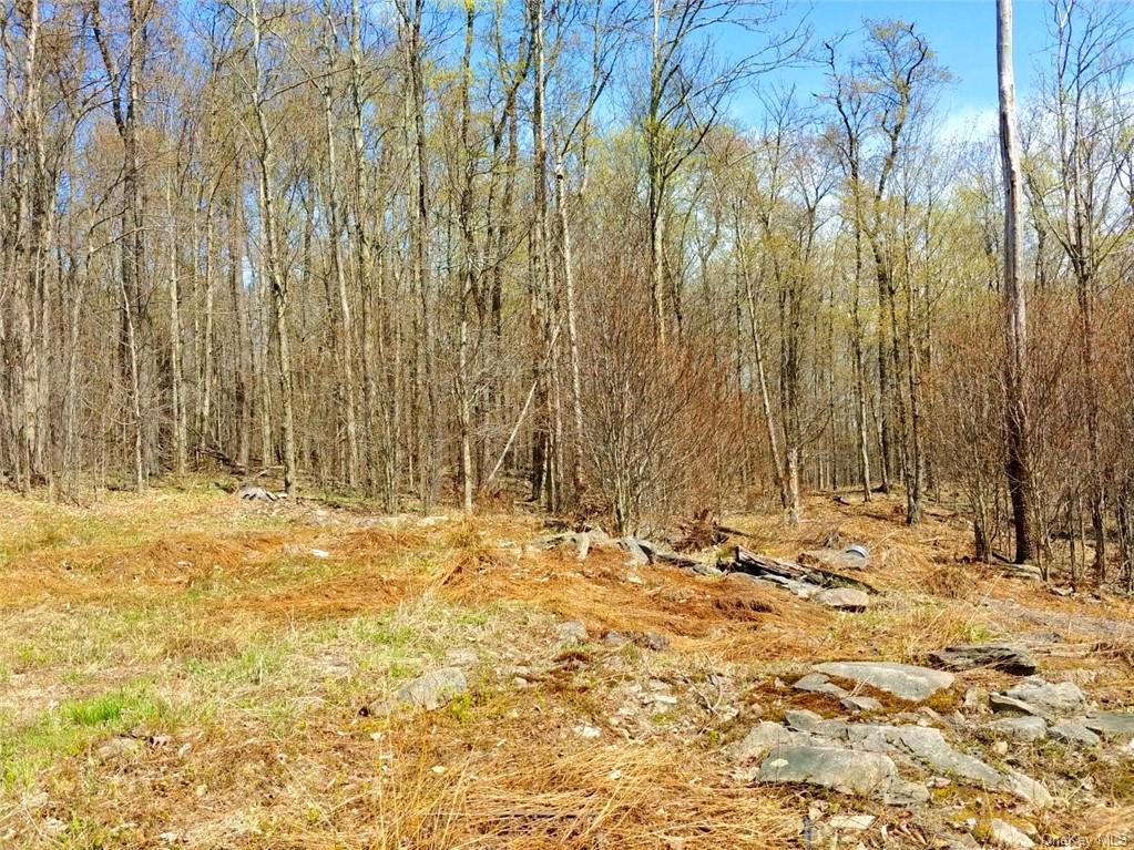 Land Shandelee  Sullivan, NY 12758, MLS-H6279768-6