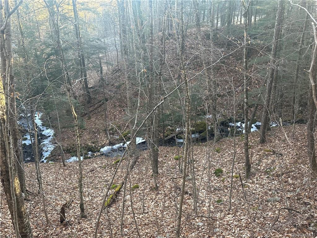 Land Grooville  Sullivan, NY 12758, MLS-H6233770-6