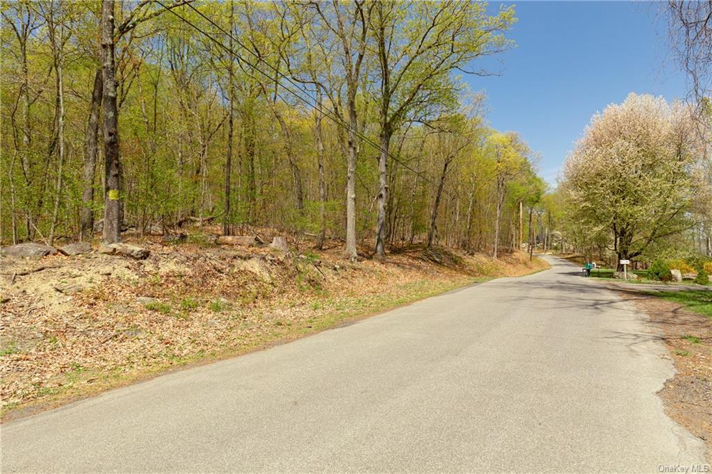 Land Bellevue  Ulster, NY 12528, MLS-H6246789-6