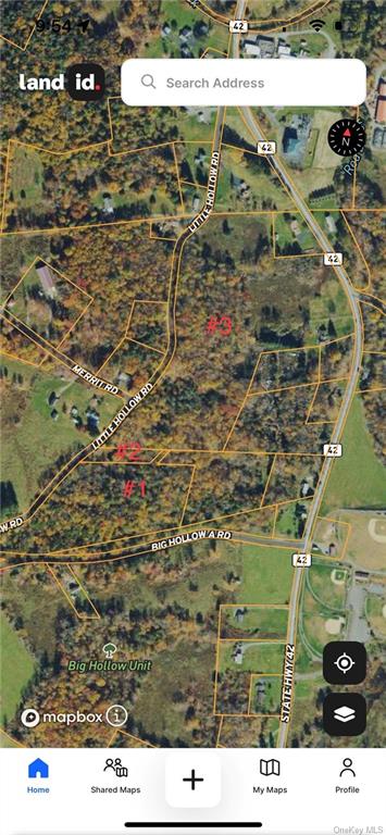 Land Big Hollow  Sullivan, NY 12765, MLS-H6256806-6