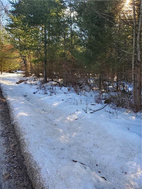 Land Red Star  Ulster, NY 12435, MLS-H6236851-6