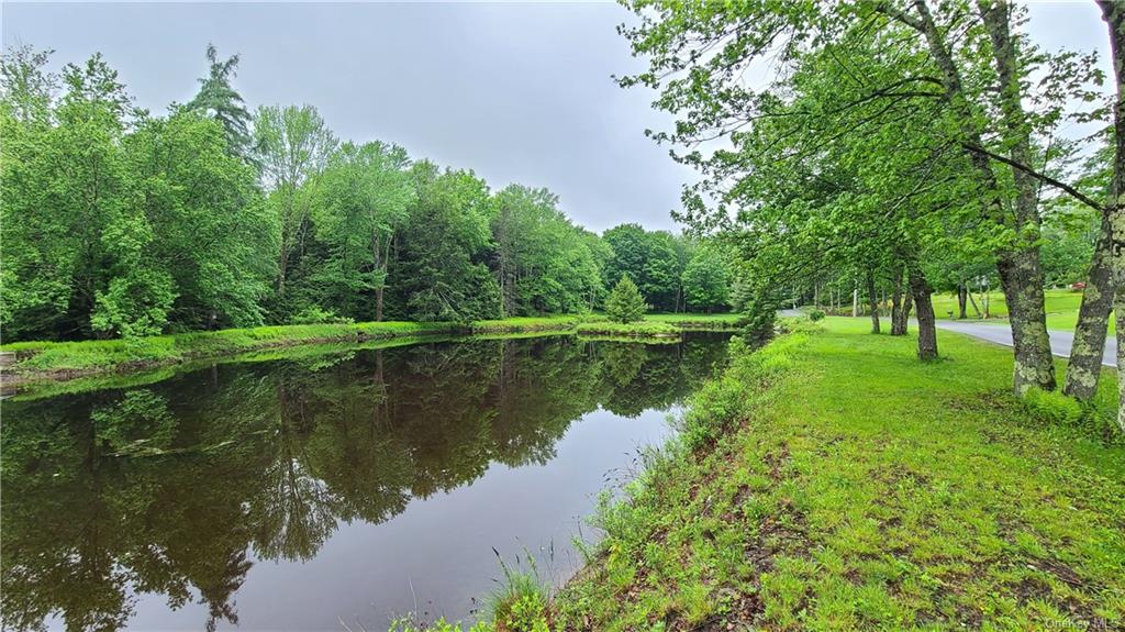 Land Dingle Daisy  Sullivan, NY 12701, MLS-H6204867-6