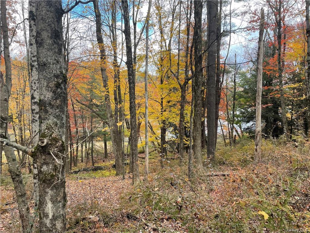 Land Cty Hwy 141 - Horseshoe Lake Rd Lots 10.7 & 10.9  Sullivan, NY 12720, MLS-H6240873-6