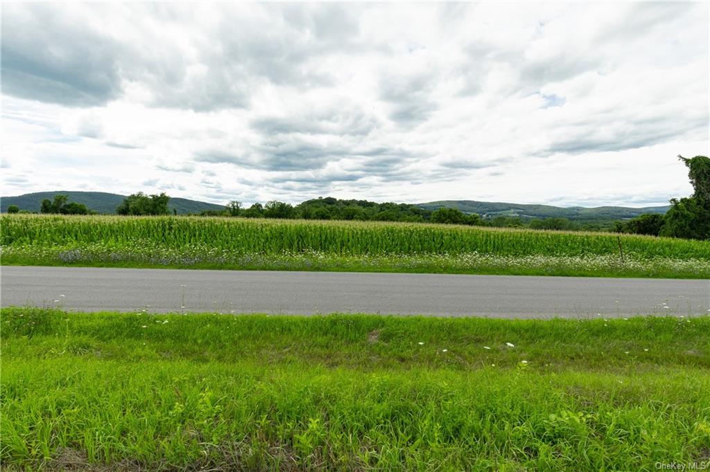 Land Yonderview  Columbia, NY 12529, MLS-H6201886-6