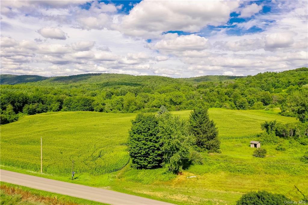 Land Yonderview  Columbia, NY 12529, MLS-H6201889-6