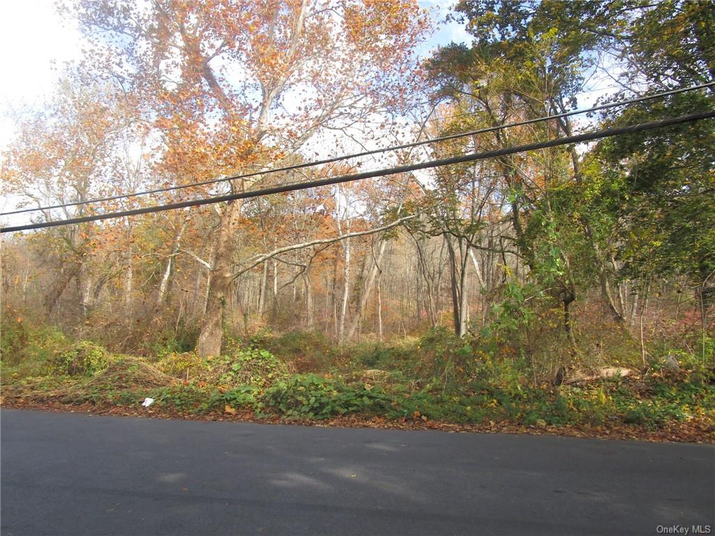 Land Foothill  Westchester, NY 10547, MLS-H6275905-6