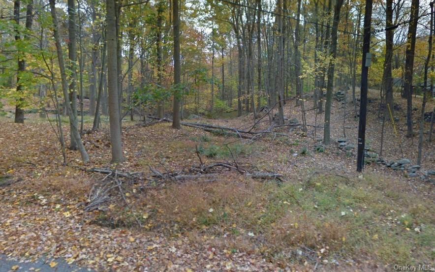 Land Laurie  Westchester, NY 10590, MLS-H6279910-6