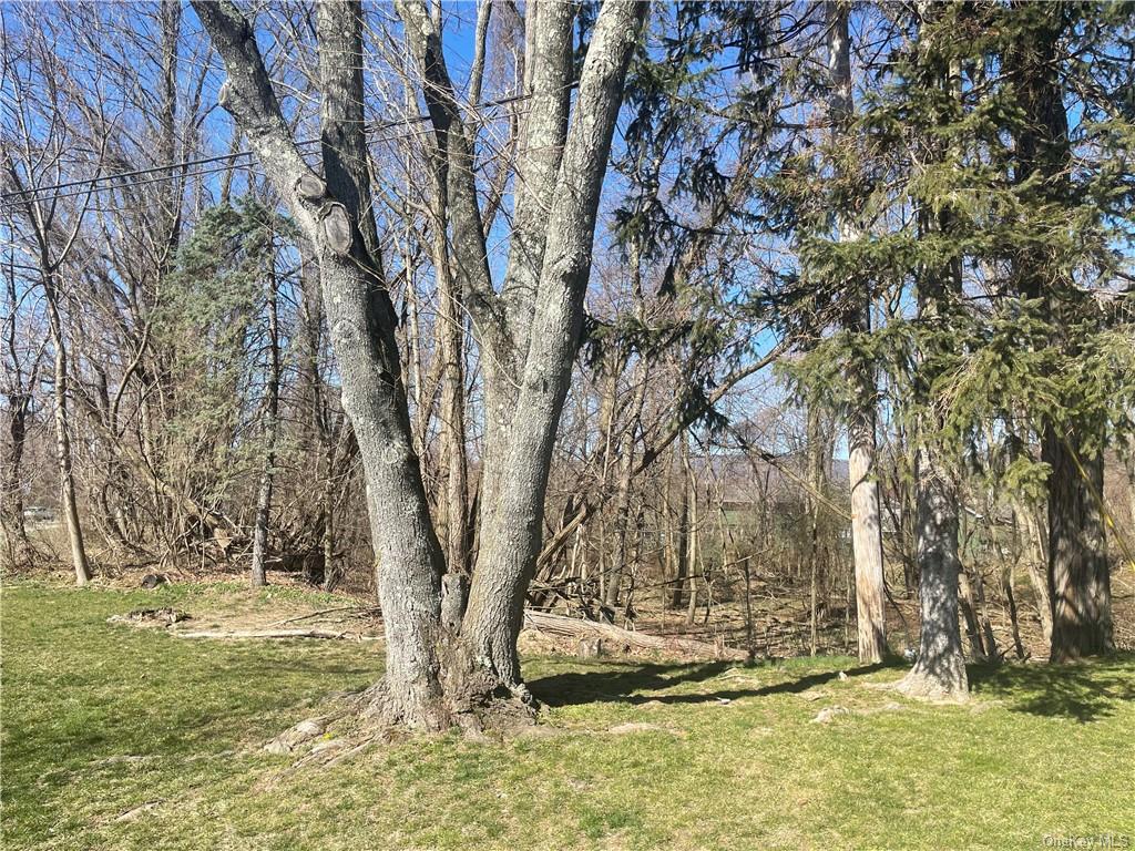 Land Kings Ferry  Westchester, NY 10596, MLS-H6239918-6
