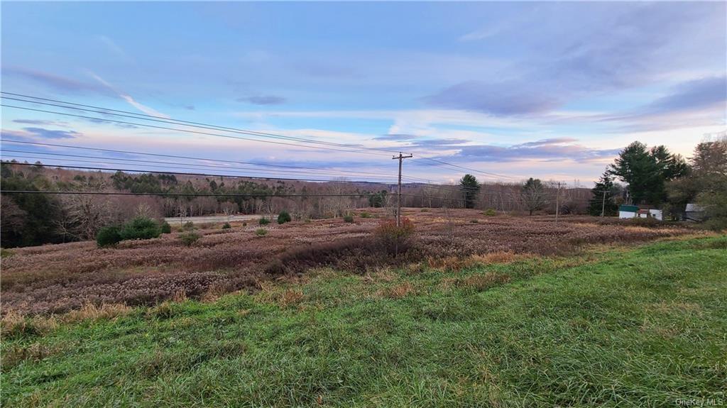 Land Old Route 17  Sullivan, NY 12734, MLS-H6254923-6