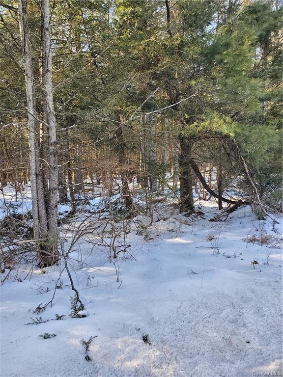 Land Red Star  Ulster, NY 12435, MLS-H6236940-6