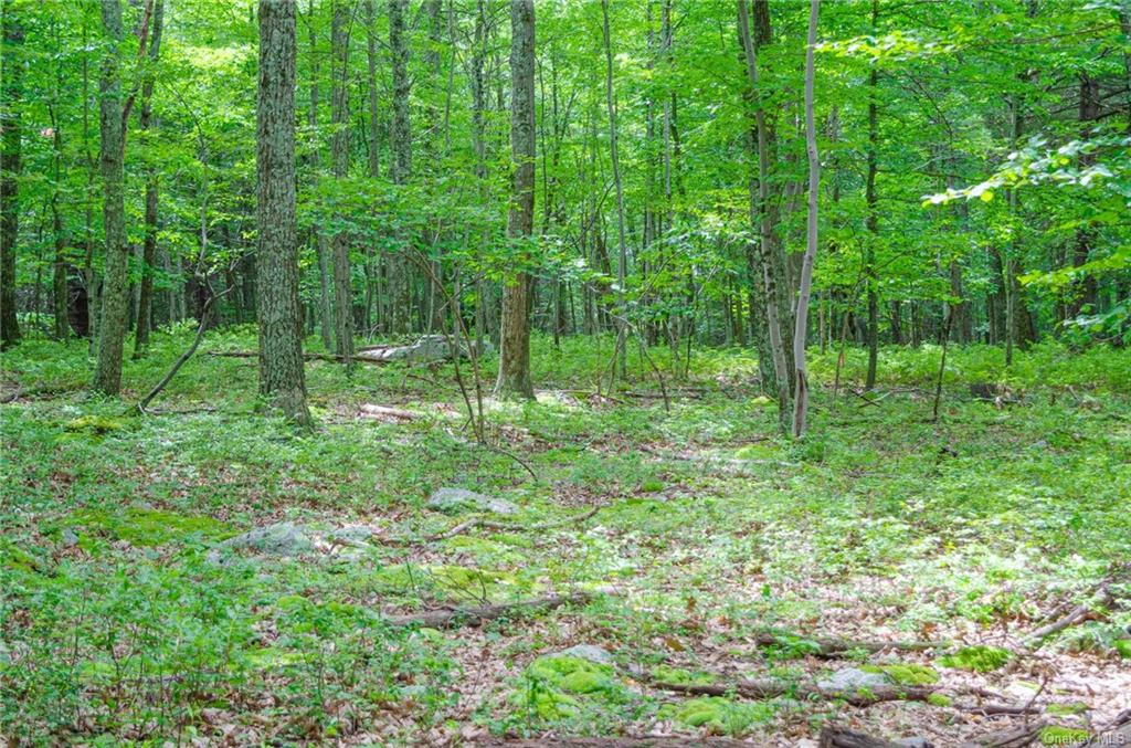 Land Mountain  Ulster, NY 12525, MLS-H6197967-6