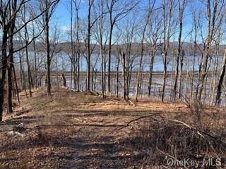 Land Mill  Dutchess, NY 12572, MLS-H6279982-6