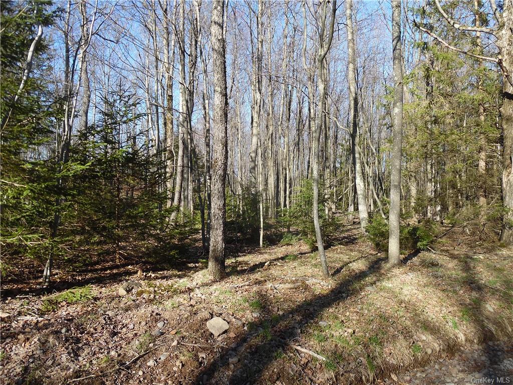 Land Revonah Hill  Sullivan, NY 12754, MLS-H6227985-6