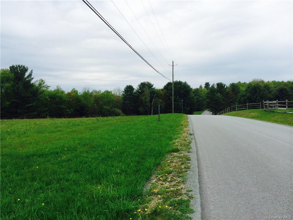 Land Lot 3 Chapin  Sullivan, NY 12786, MLS-H6278999-6