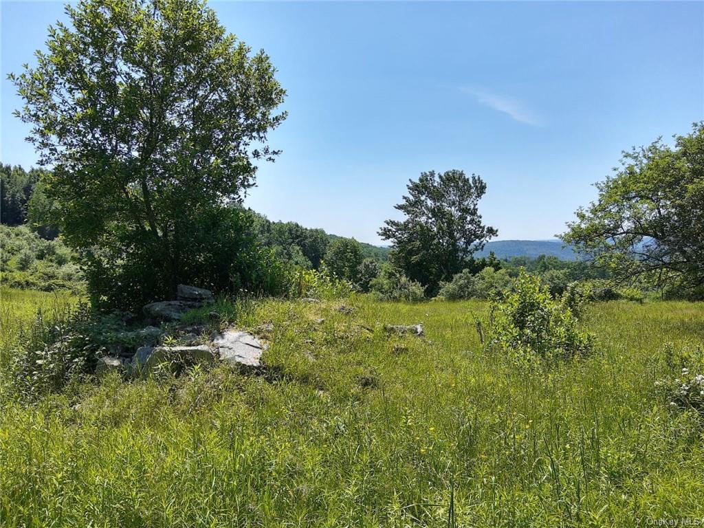 Land Beechwoods  Sullivan, NY 12723, MLS-H6264013-7