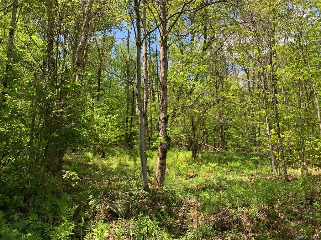 Land Bethlehem Tr12  Sullivan, NY 12736, MLS-H6250014-7