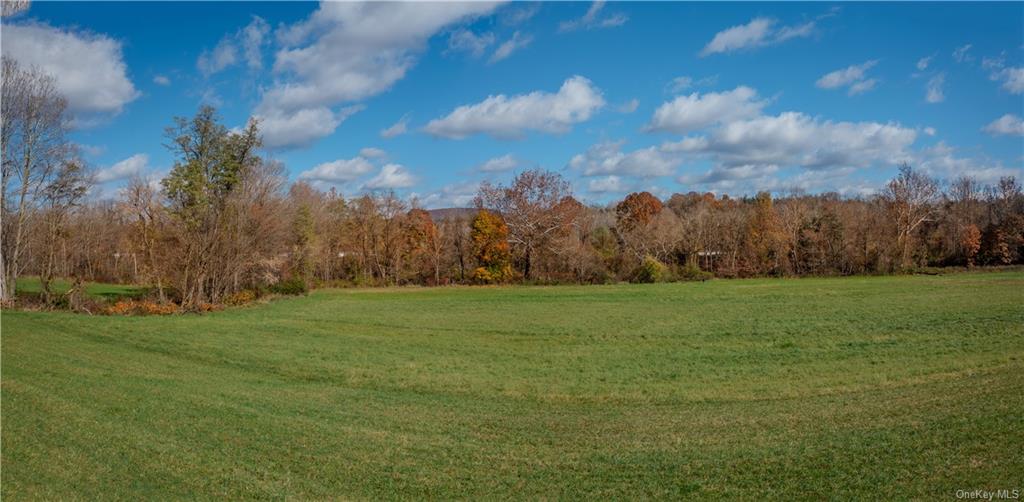 Land Cricket Hill  Dutchess, NY 12522, MLS-H6277028-7