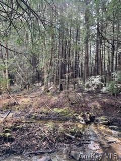 Land Bear Run  Sullivan, NY 12764, MLS-H6168030-7