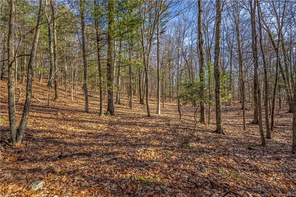 Land Vista Maria/cragsmoor  Ulster, NY 12420, MLS-H6223069-7