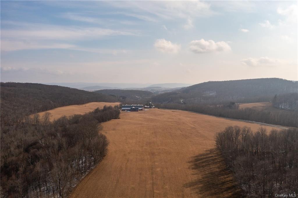 Land Silver Mountain  Dutchess, NY 12546, MLS-H6238098-7